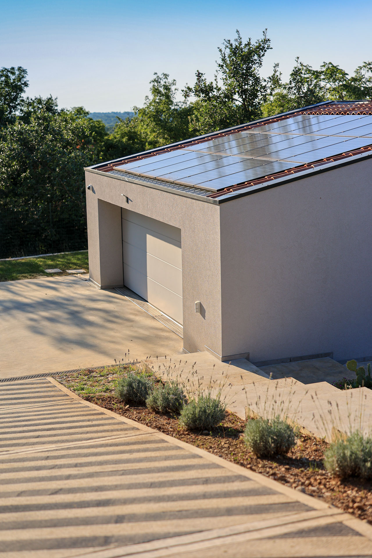 0263_ir6_230628-foto-tomo-strle_citrus