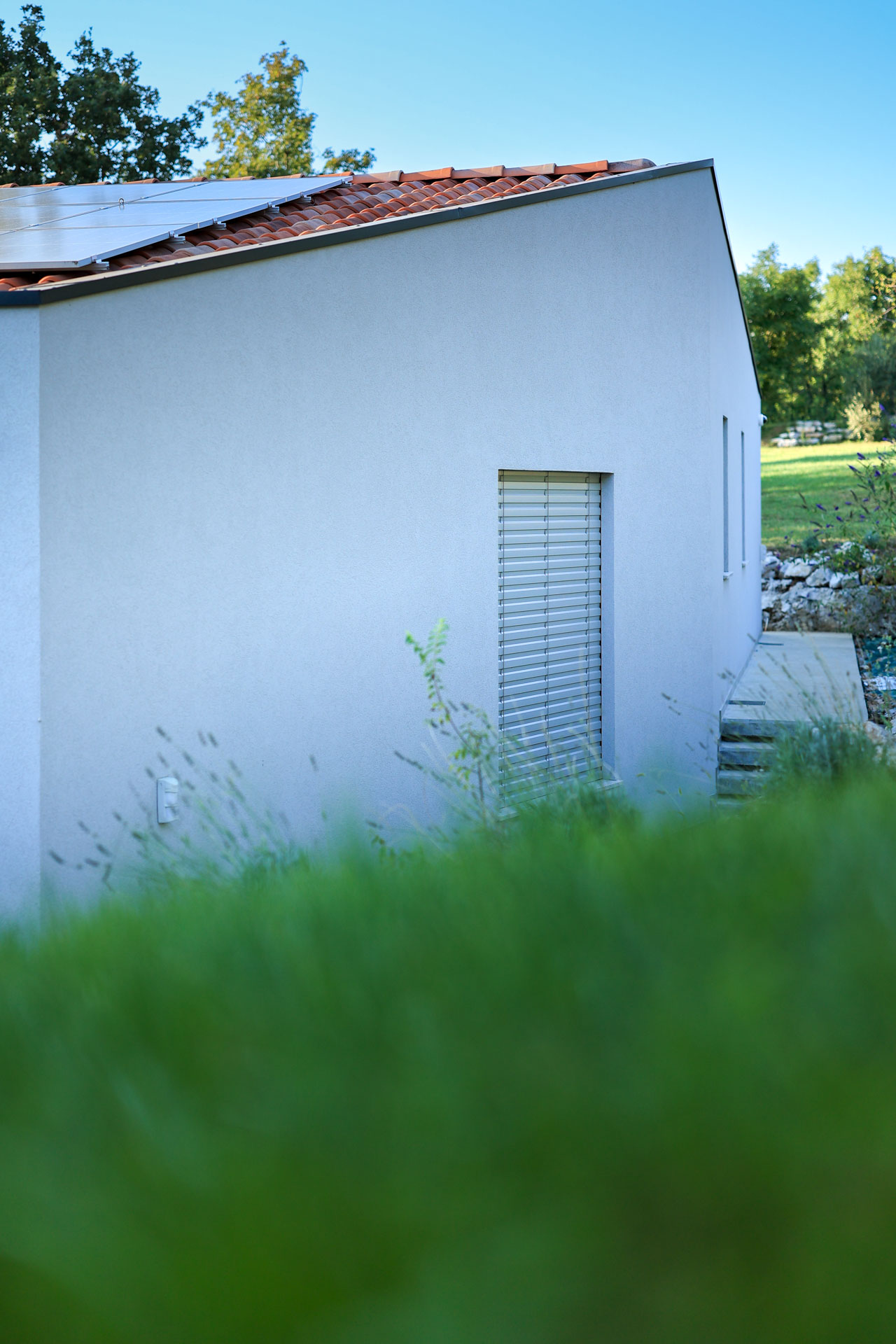 0384_ir6_230663-foto-tomo-strle_citrus-2