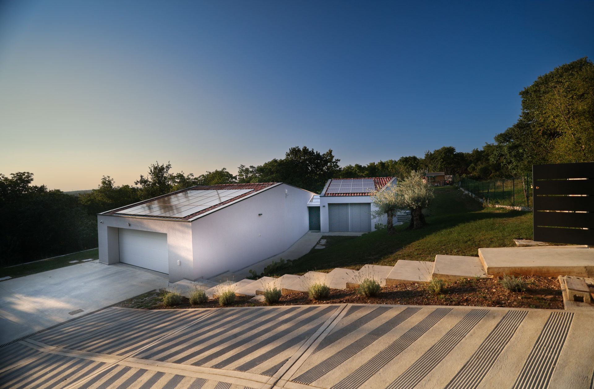 0427_ir5_229020-foto-tomo-strle_citrus-2