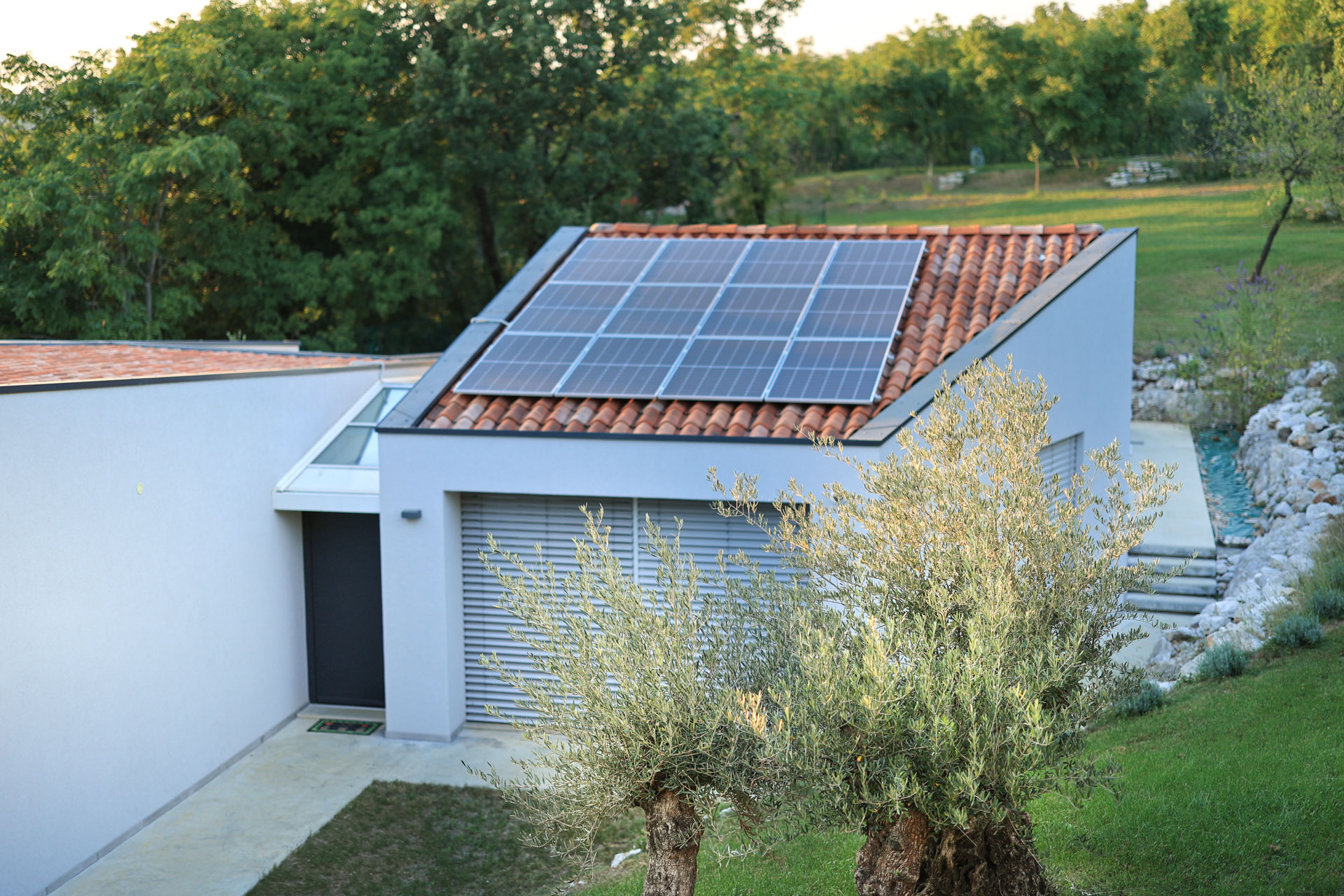 0470_ir6_230686-foto-tomo-strle_citrus-2