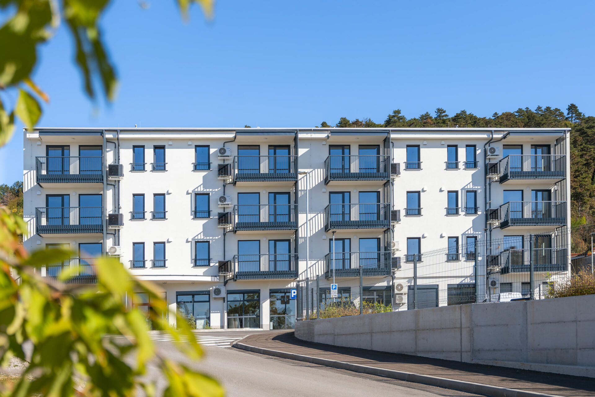 jelovica_sezana_web_jelovica_sezana_web_dsc02907_55_11